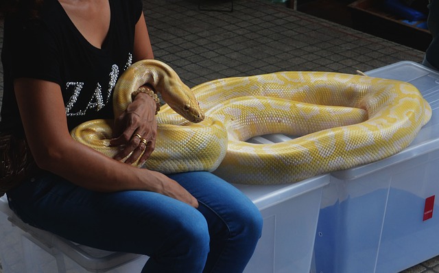 date in Reptielenhuis De Aarde Breda